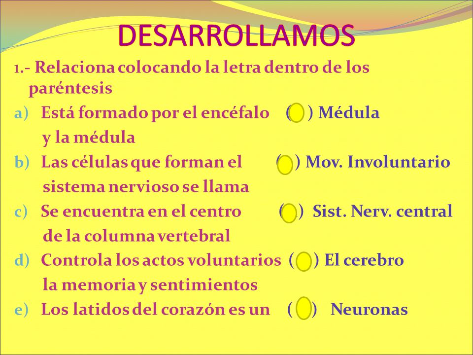 DESARROLLAMOS 1.- Relaciona colocando la letra dentro de los paréntesis. Está formado por el encéfalo ( c ) Médula.