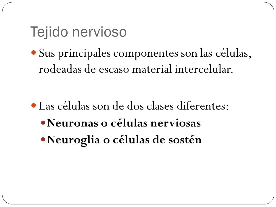 Tejido nervioso Sus principales componentes son las células, rodeadas de escaso material intercelular.