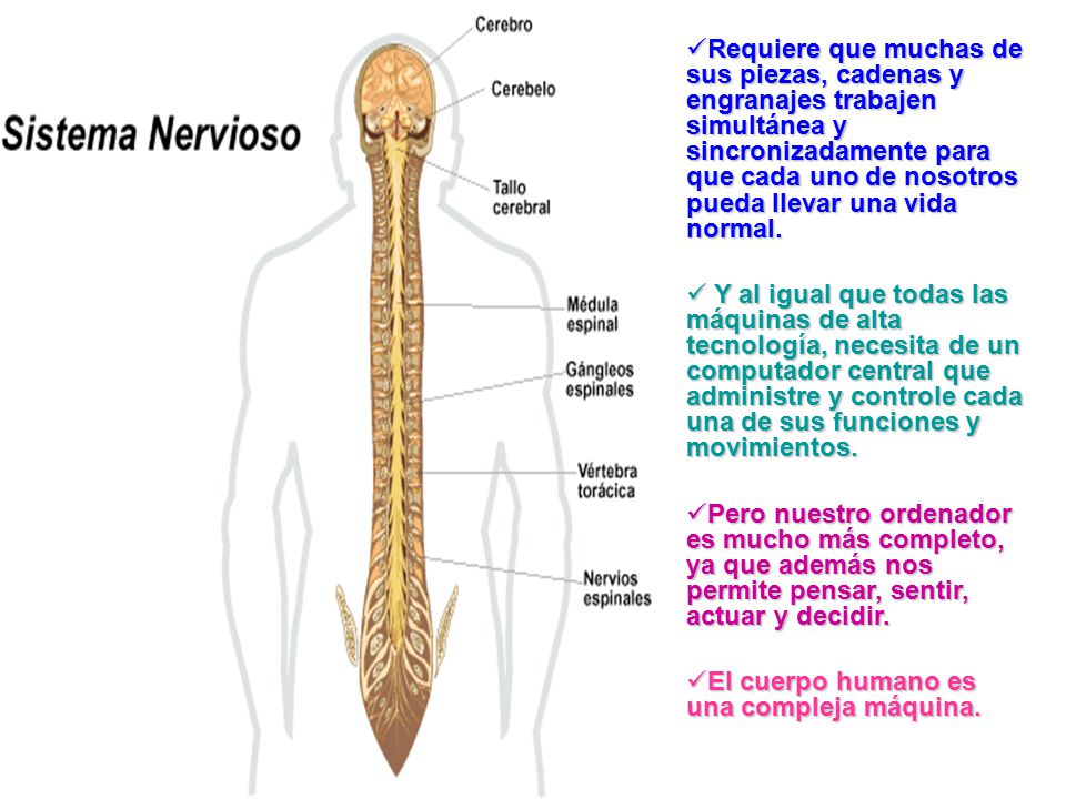 Requiere que muchas de sus piezas, cadenas y engranajes trabajen simultánea y sincronizadamente para que cada uno de nosotros pueda llevar una vida normal.