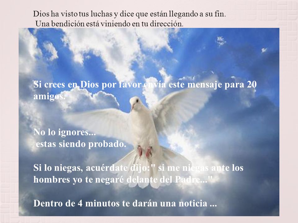 Si crees en Dios por favor envía este mensaje para 20 amigos.