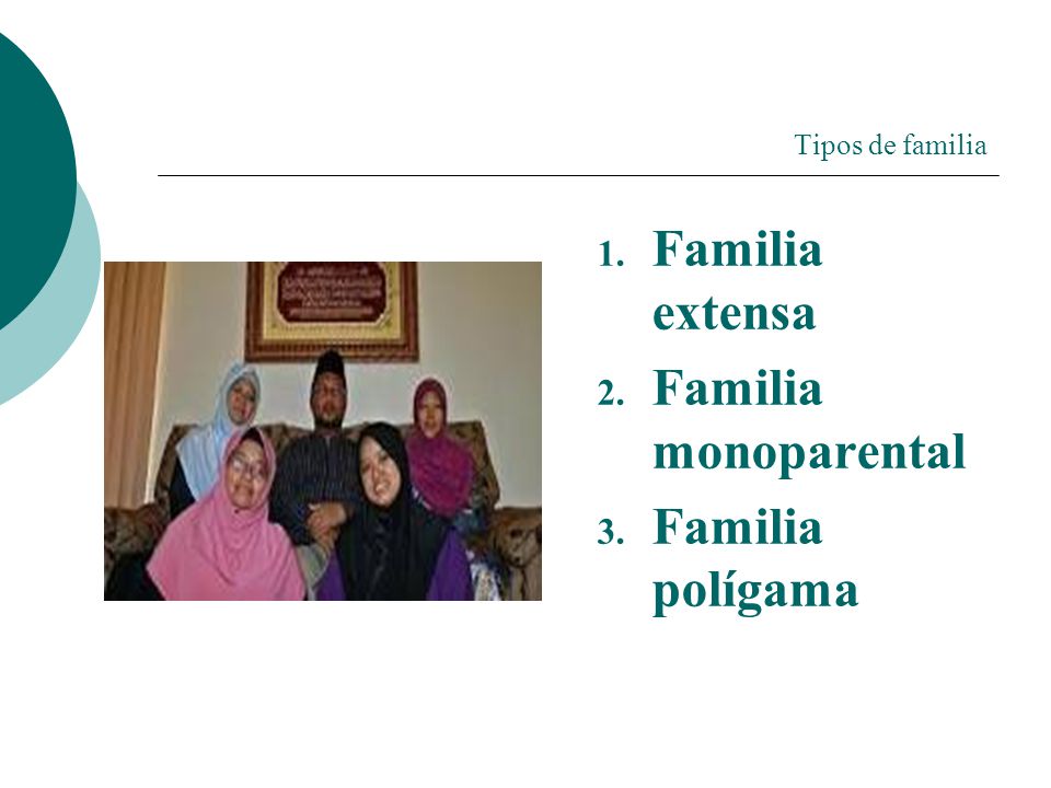 Tipos de familia Familia extensa Familia monoparental Familia polígama