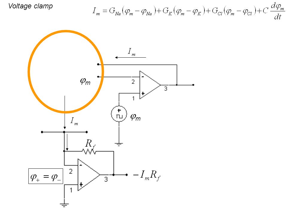 Voltage clamp m m m