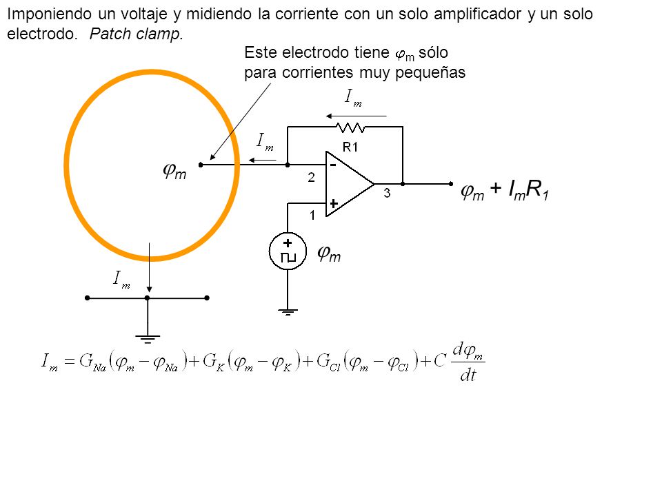 Imponiendo un voltaje y midiendo la corriente con un solo amplificador y un solo electrodo. Patch clamp.