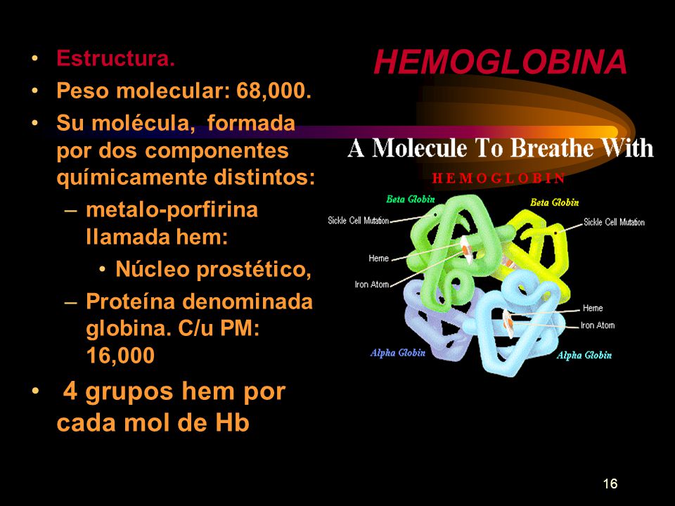 HEMOGLOBINA 4 grupos hem por cada mol de Hb Estructura.
