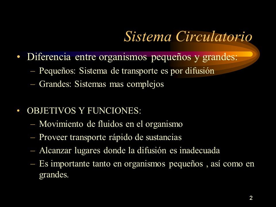 Sistema Circulatorio Diferencia entre organismos pequeños y grandes: