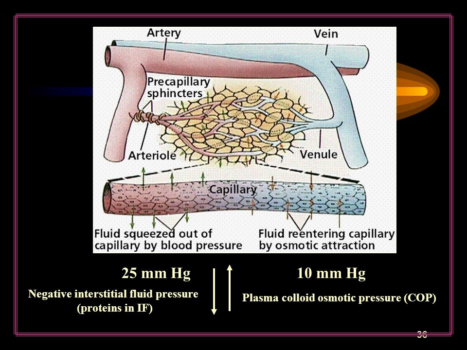 25 mm Hg 10 mm Hg Negative interstitial fluid pressure