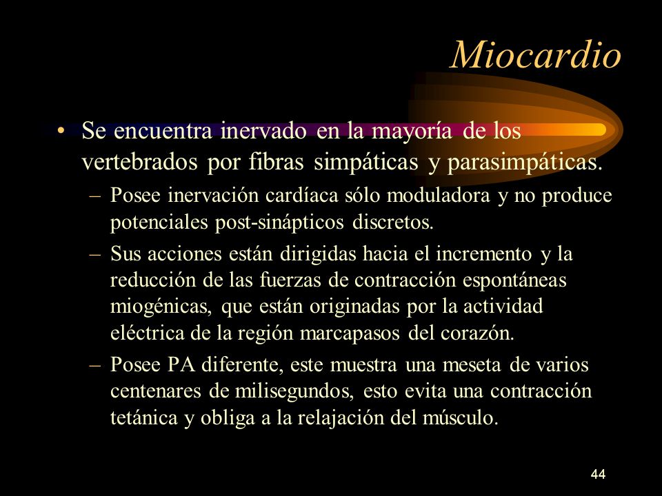 Miocardio Se encuentra inervado en la mayoría de los vertebrados por fibras simpáticas y parasimpáticas.