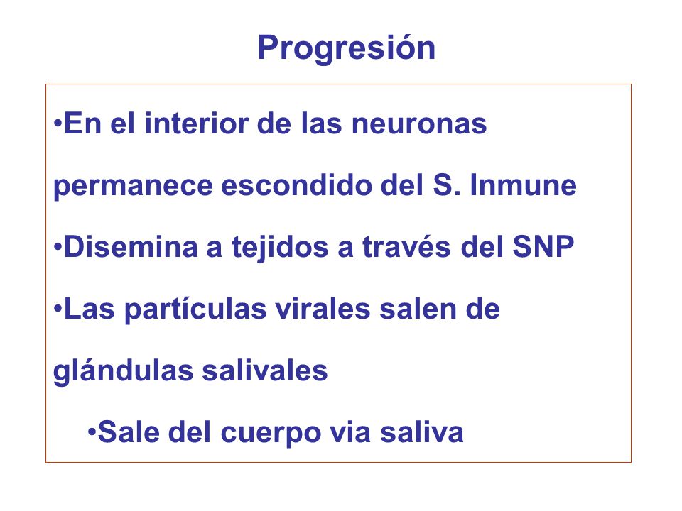 Progresión En el interior de las neuronas permanece escondido del S. Inmune. Disemina a tejidos a través del SNP.