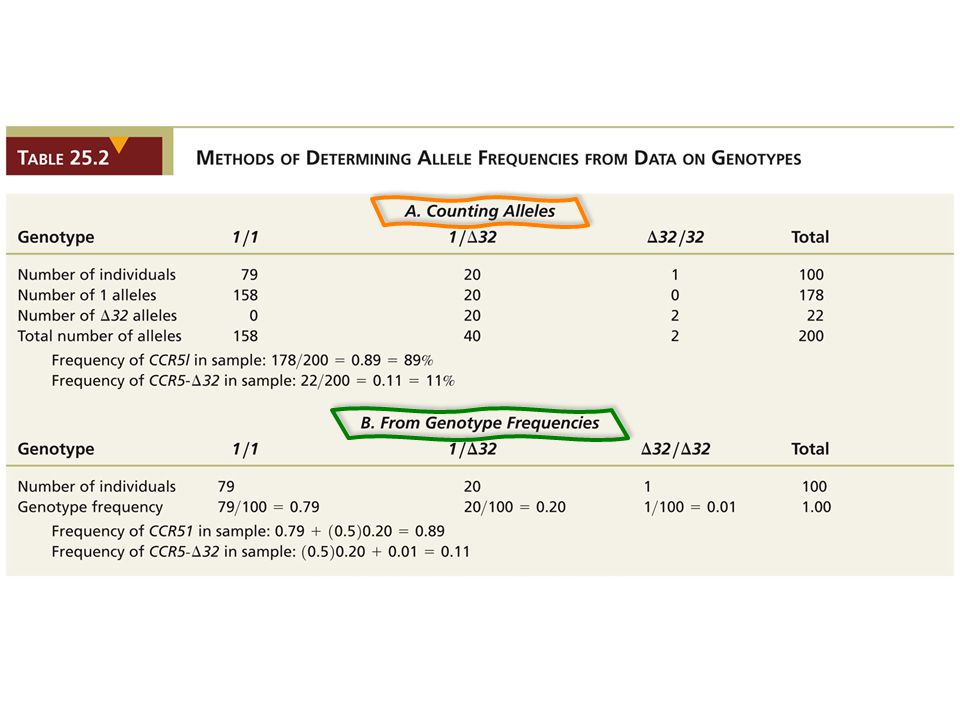Table Methods of Determining Allele Frequencies from Data on Genotypes.
