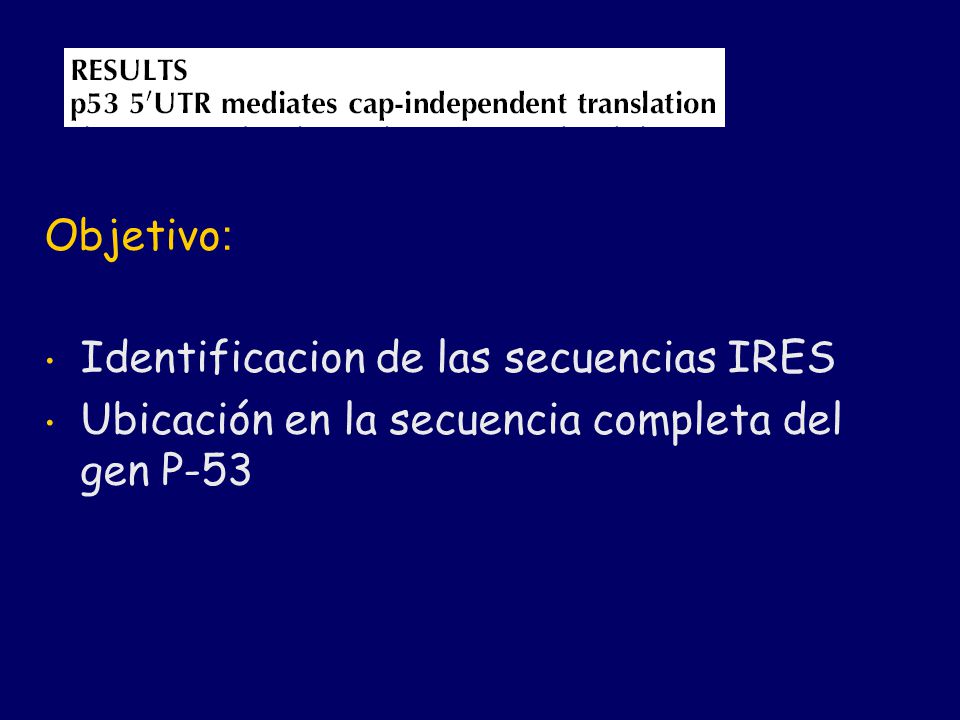 Objetivo: Identificacion de las secuencias IRES Ubicación en la secuencia completa del gen P-53