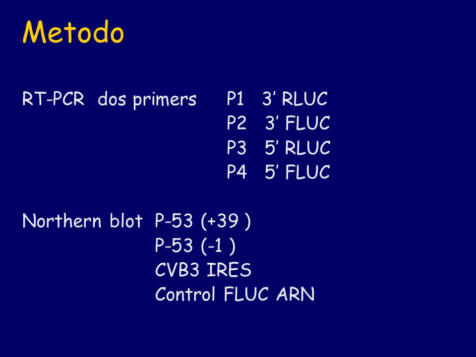 Metodo RT-PCR dos primers P1 3’ RLUC P2 3’ FLUC P3 5’ RLUC P4 5’ FLUC