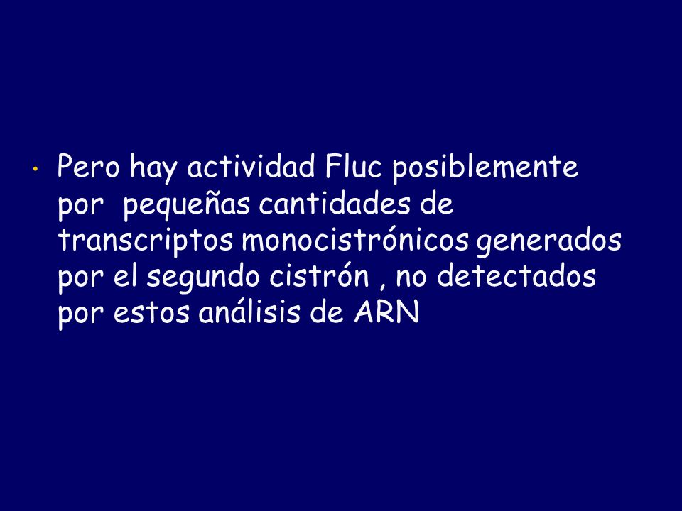 Pero hay actividad Fluc posiblemente por pequeñas cantidades de transcriptos monocistrónicos generados por el segundo cistrón , no detectados por estos análisis de ARN