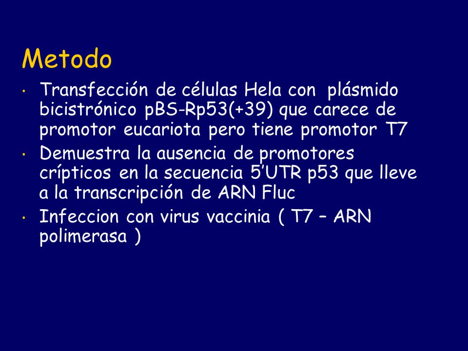 Metodo Transfección de células Hela con plásmido bicistrónico pBS-Rp53(+39) que carece de promotor eucariota pero tiene promotor T7.