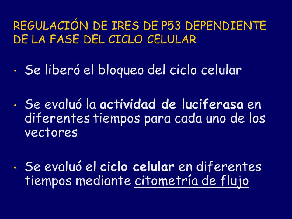 REGULACIÓN DE IRES DE P53 DEPENDIENTE DE LA FASE DEL CICLO CELULAR