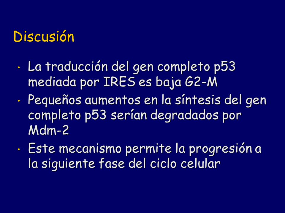 Discusión La traducción del gen completo p53 mediada por IRES es baja G2-M.