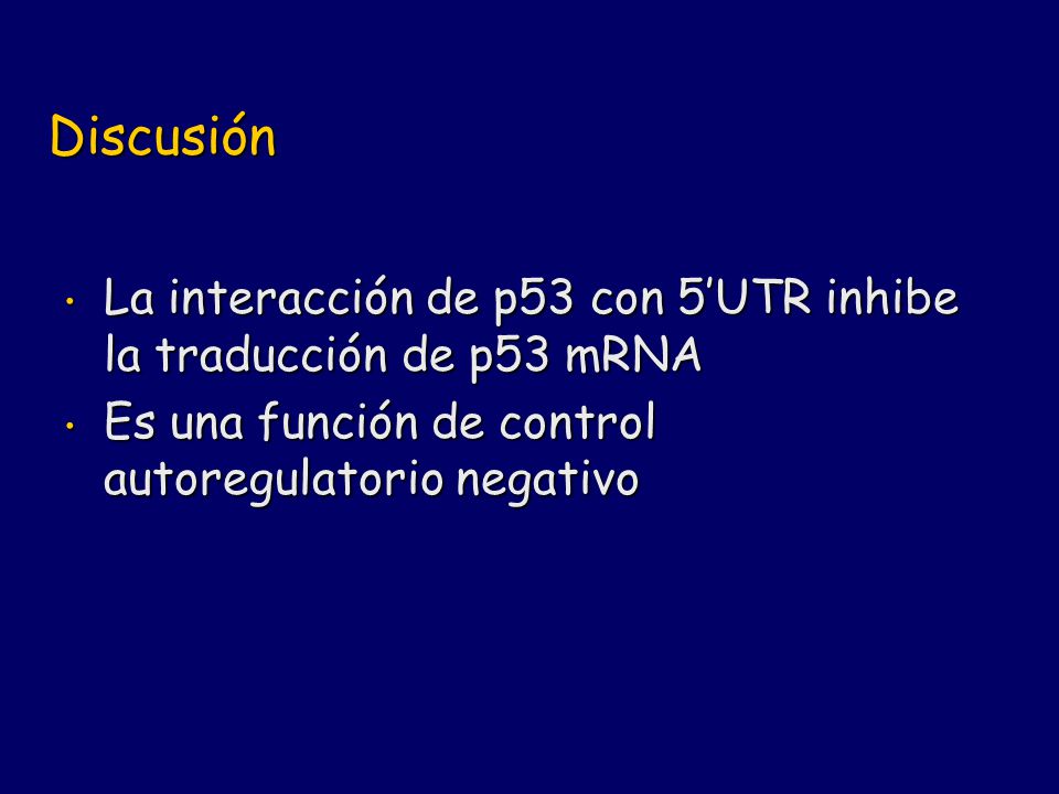 Discusión La interacción de p53 con 5’UTR inhibe la traducción de p53 mRNA.