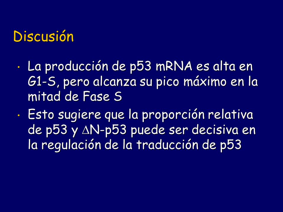Discusión La producción de p53 mRNA es alta en G1-S, pero alcanza su pico máximo en la mitad de Fase S.