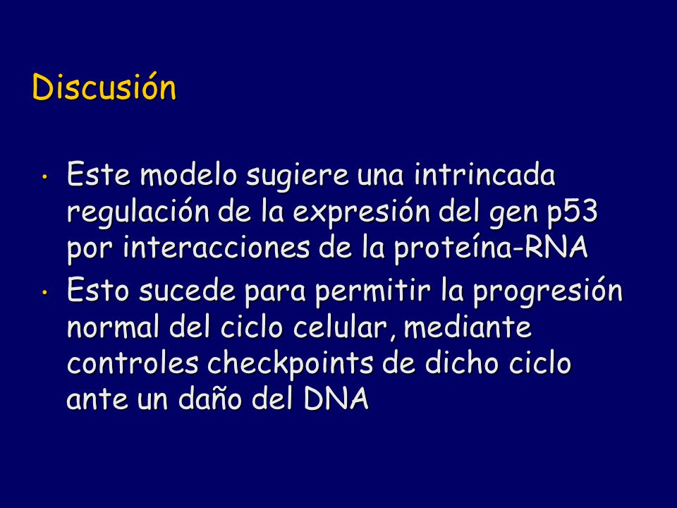 Discusión Este modelo sugiere una intrincada regulación de la expresión del gen p53 por interacciones de la proteína-RNA.