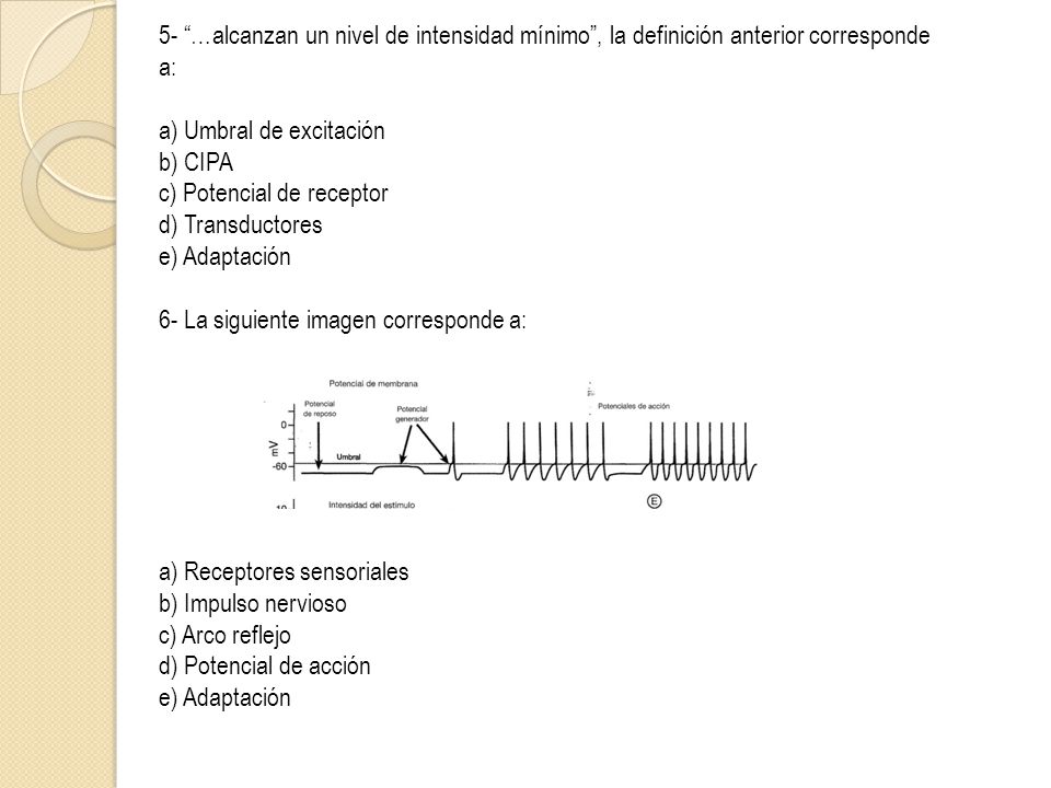 5- …alcanzan un nivel de intensidad mínimo , la definición anterior corresponde a: