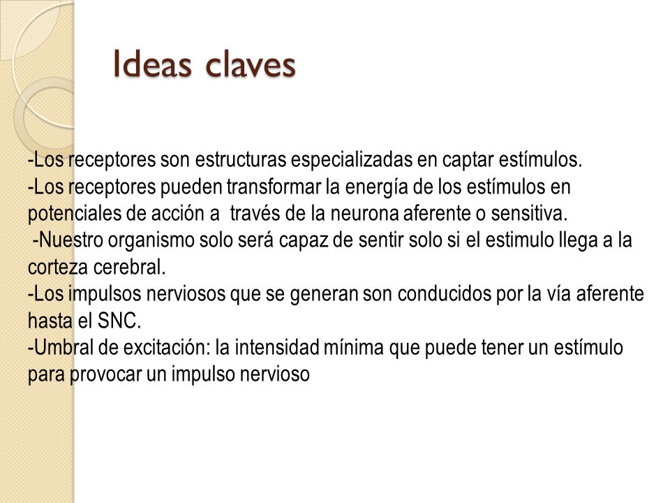 Ideas claves -Los receptores son estructuras especializadas en captar estímulos.