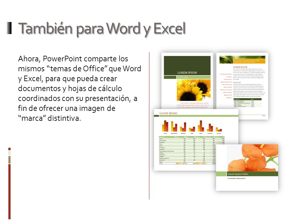 También para Word y Excel