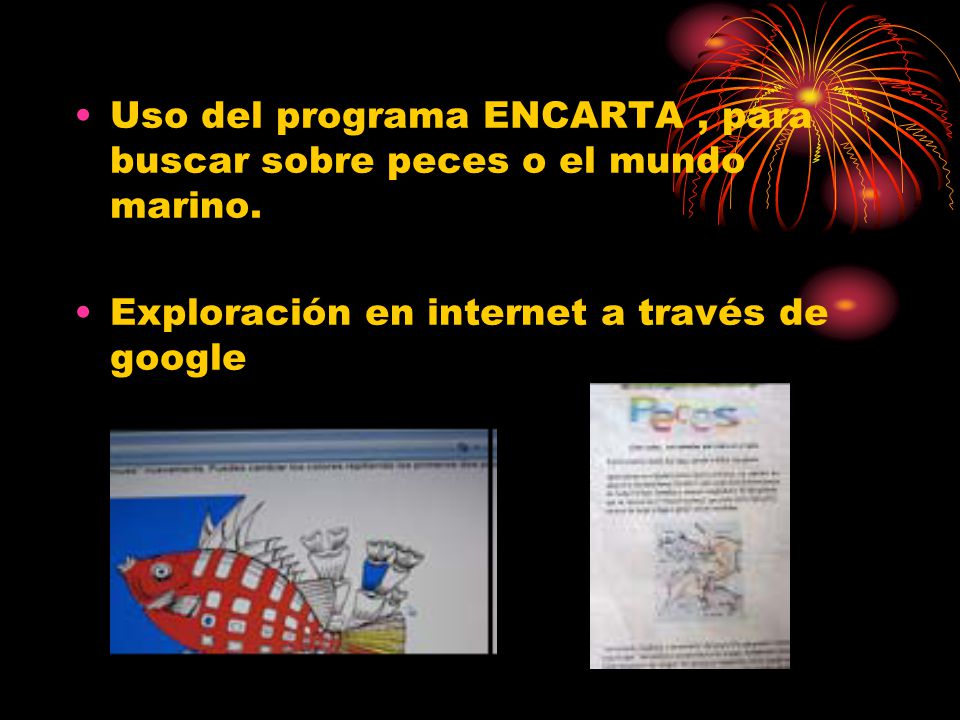 Uso del programa ENCARTA , para buscar sobre peces o el mundo marino.