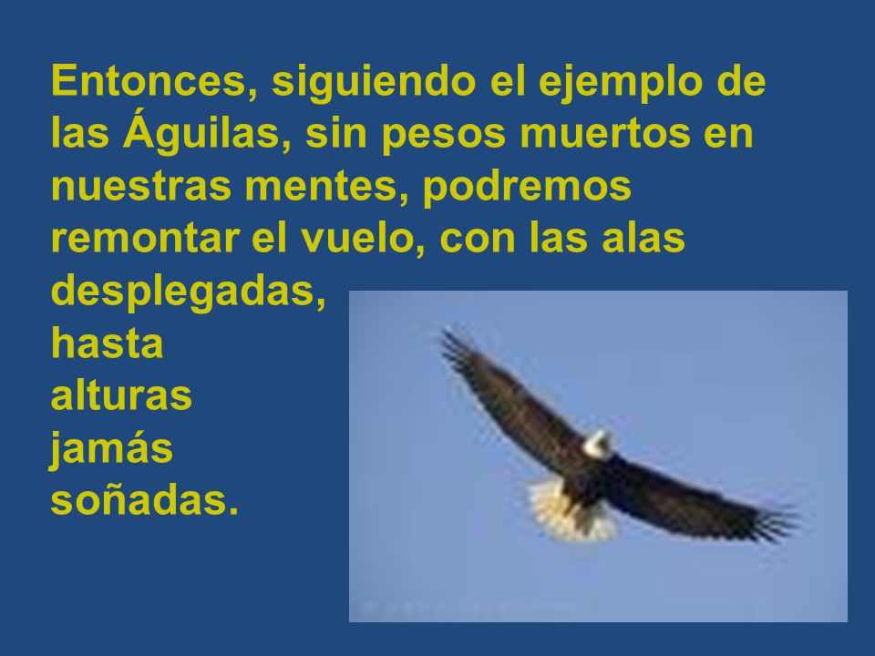 Entonces, siguiendo el ejemplo de las Águilas, sin pesos muertos en nuestras mentes, podremos remontar el vuelo, con las alas desplegadas,