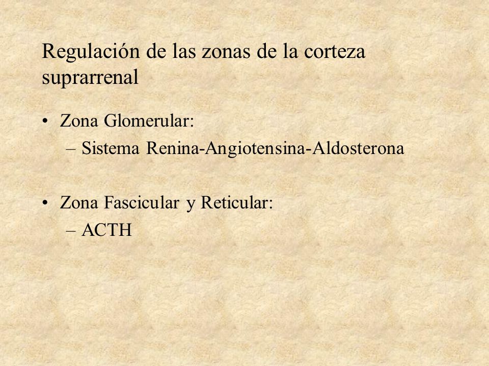 Regulación de las zonas de la corteza suprarrenal