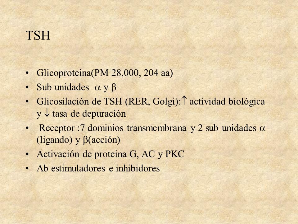 TSH Glicoproteina(PM 28,000, 204 aa) Sub unidades  y 