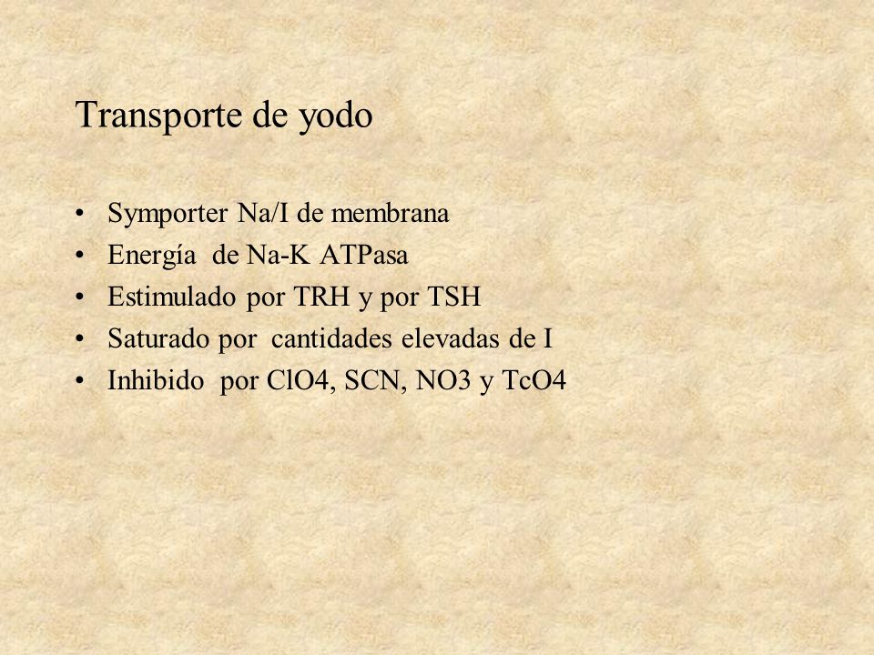 Transporte de yodo Symporter Na/I de membrana Energía de Na-K ATPasa