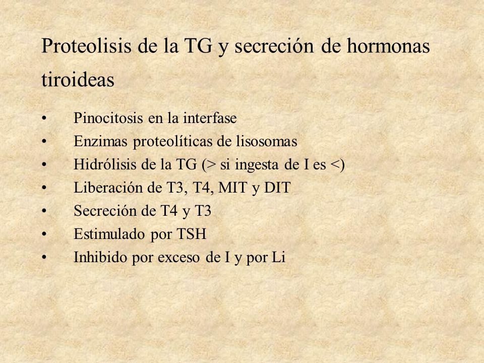Proteolisis de la TG y secreción de hormonas tiroideas