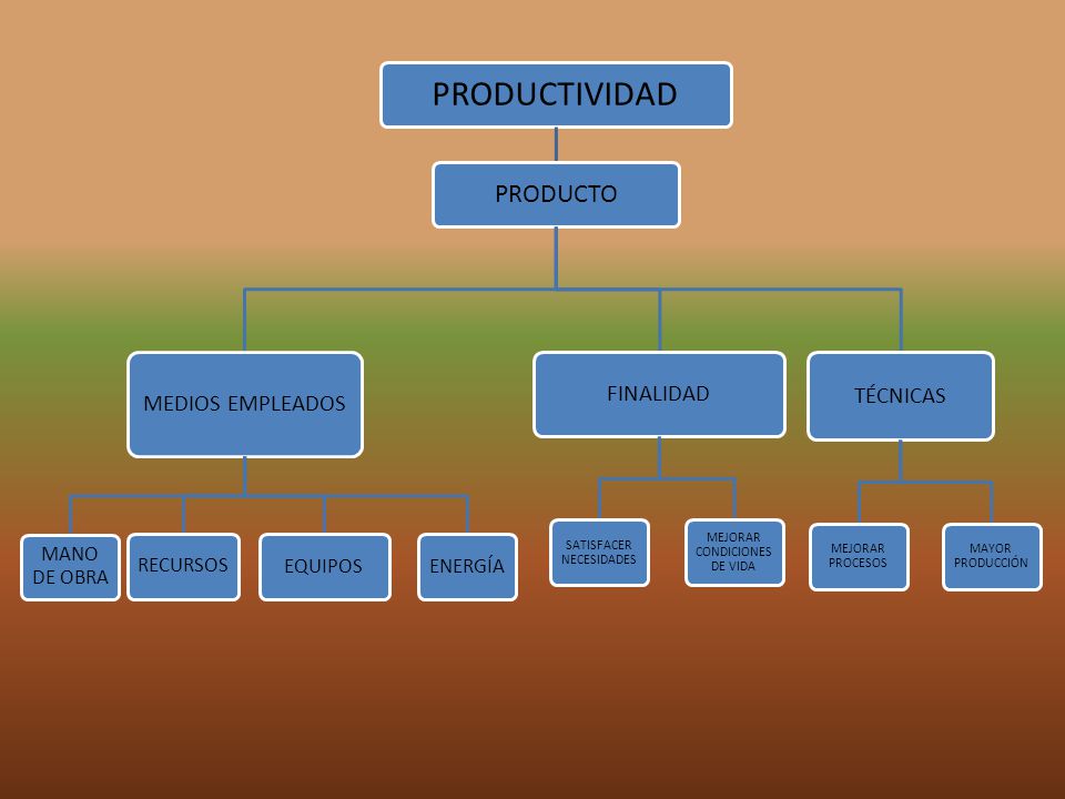 PRODUCTIVIDAD PRODUCTO FINALIDAD TÉCNICAS MEDIOS EMPLEADOS