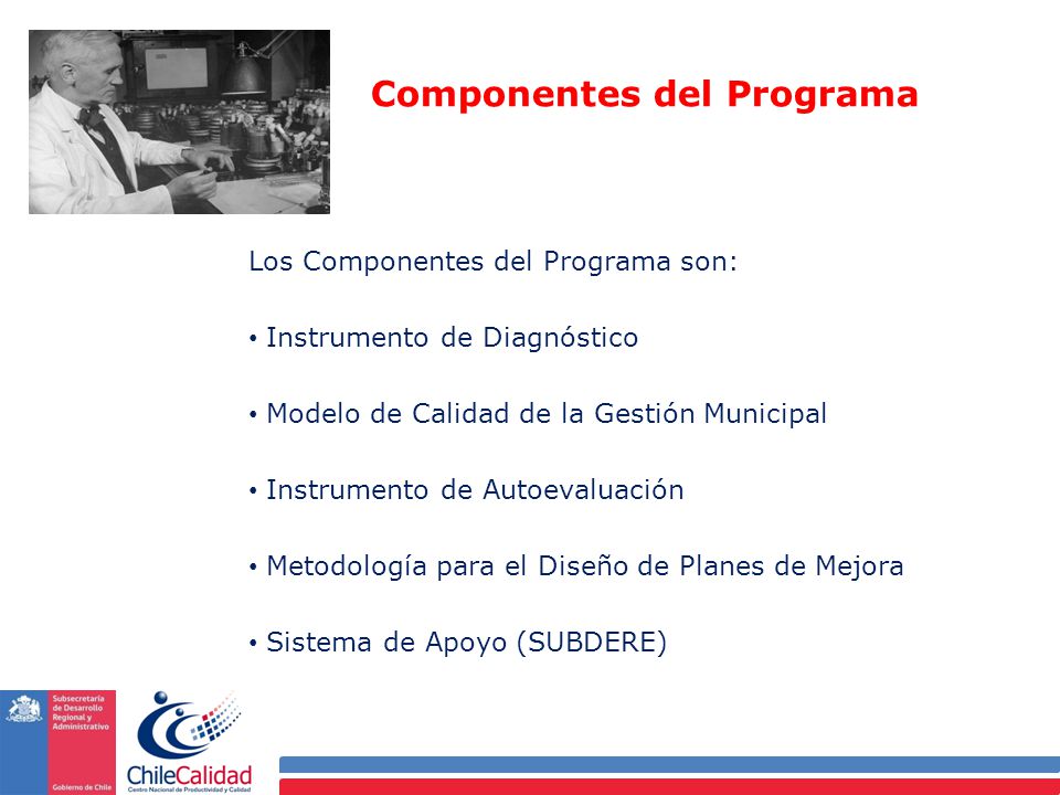 Componentes del Programa