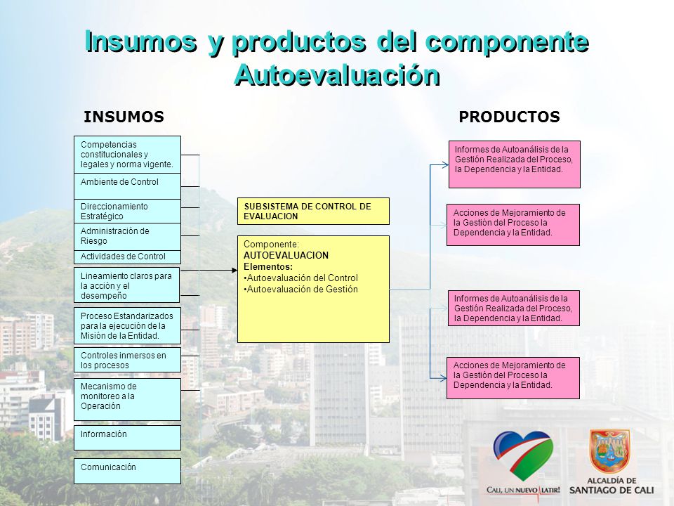 Insumos y productos del componente Autoevaluación