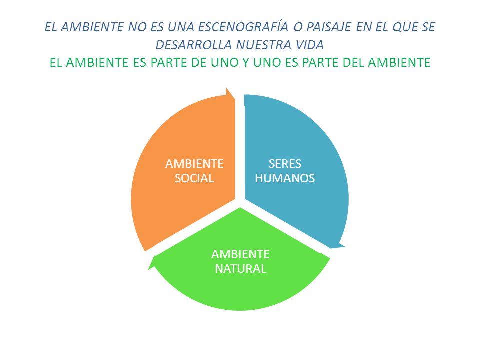 EL AMBIENTE NO ES UNA ESCENOGRAFÍA O PAISAJE EN EL QUE SE DESARROLLA NUESTRA VIDA EL AMBIENTE ES PARTE DE UNO Y UNO ES PARTE DEL AMBIENTE