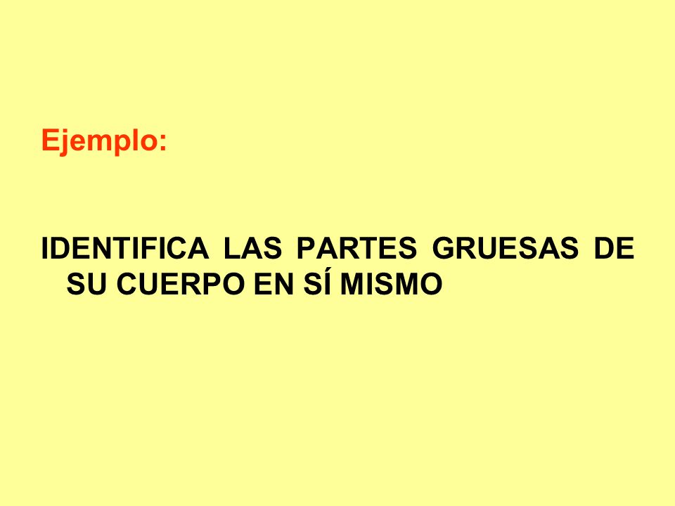 Ejemplo: IDENTIFICA LAS PARTES GRUESAS DE SU CUERPO EN SÍ MISMO