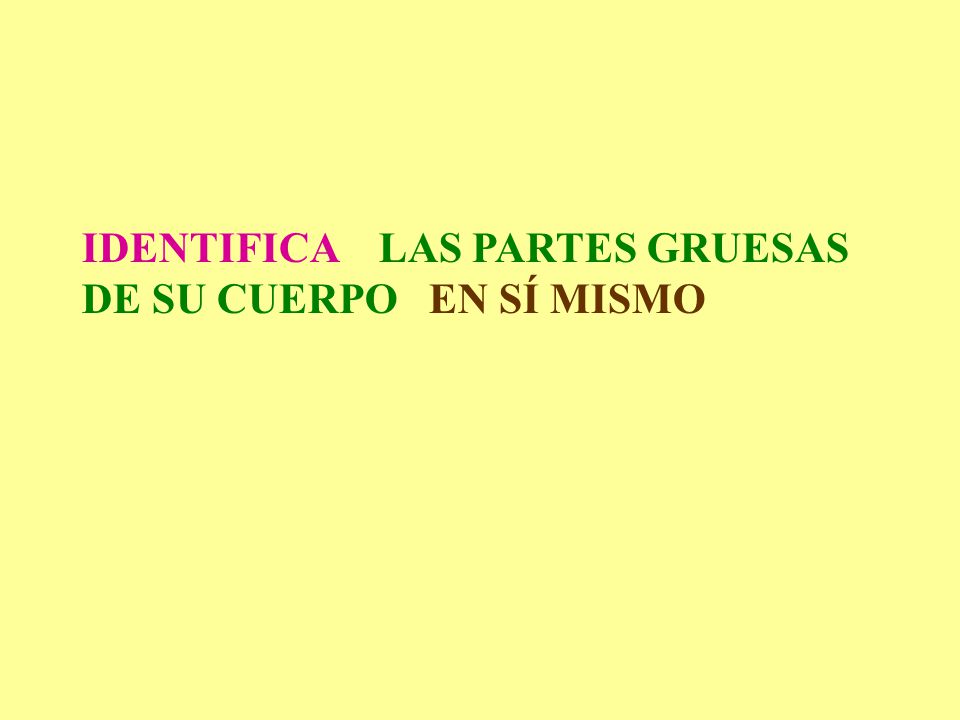 IDENTIFICA LAS PARTES GRUESAS DE SU CUERPO EN SÍ MISMO