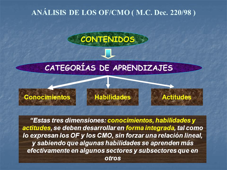 ANÁLISIS DE LOS OF/CMO ( M.C. Dec. 220/98 ) CATEGORÍAS DE APRENDIZAJES
