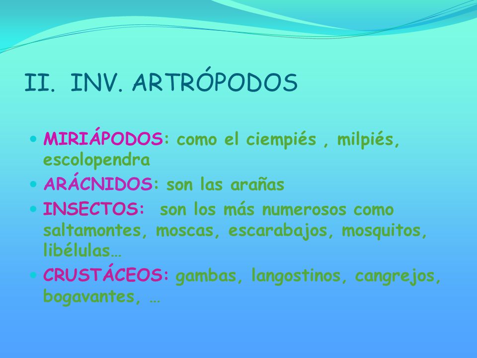 II. INV. ARTRÓPODOS MIRIÁPODOS: como el ciempiés , milpiés, escolopendra. ARÁCNIDOS: son las arañas.