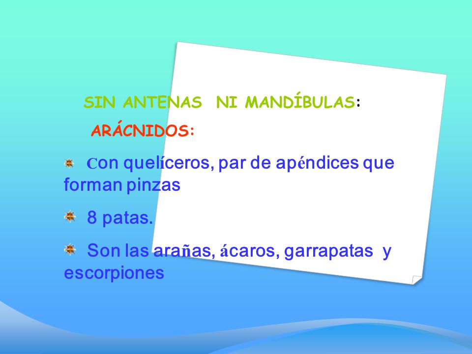 Son las arañas, ácaros, garrapatas y escorpiones