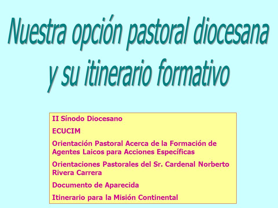 Nuestra opción pastoral diocesana y su itinerario formativo