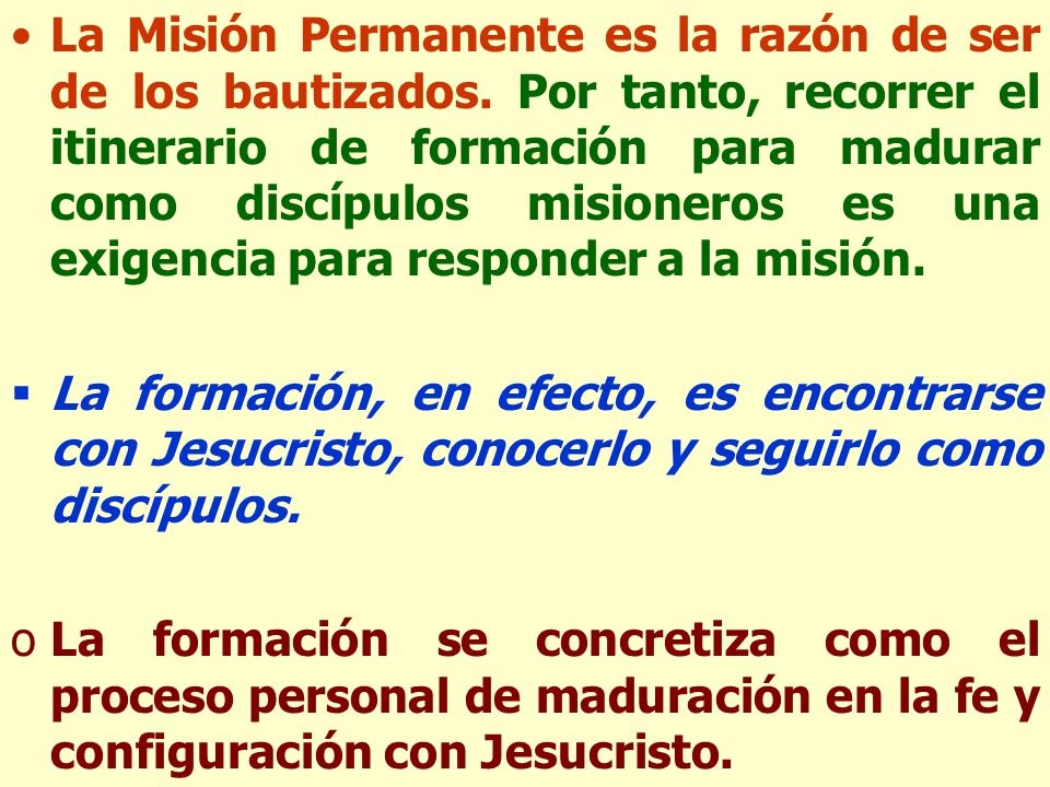 La Misión Permanente es la razón de ser de los bautizados