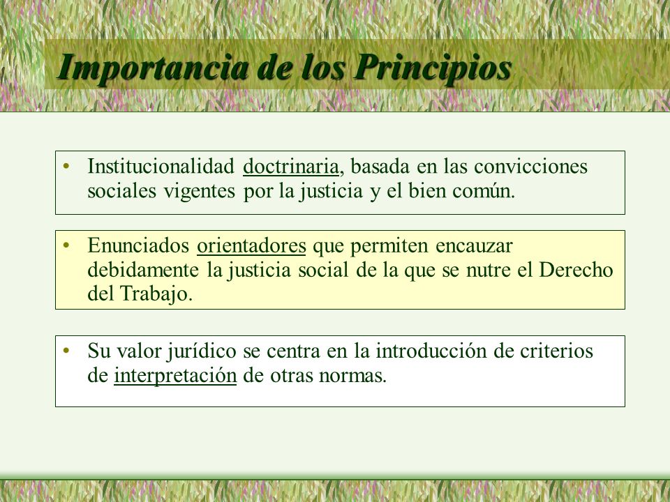 Importancia de los Principios