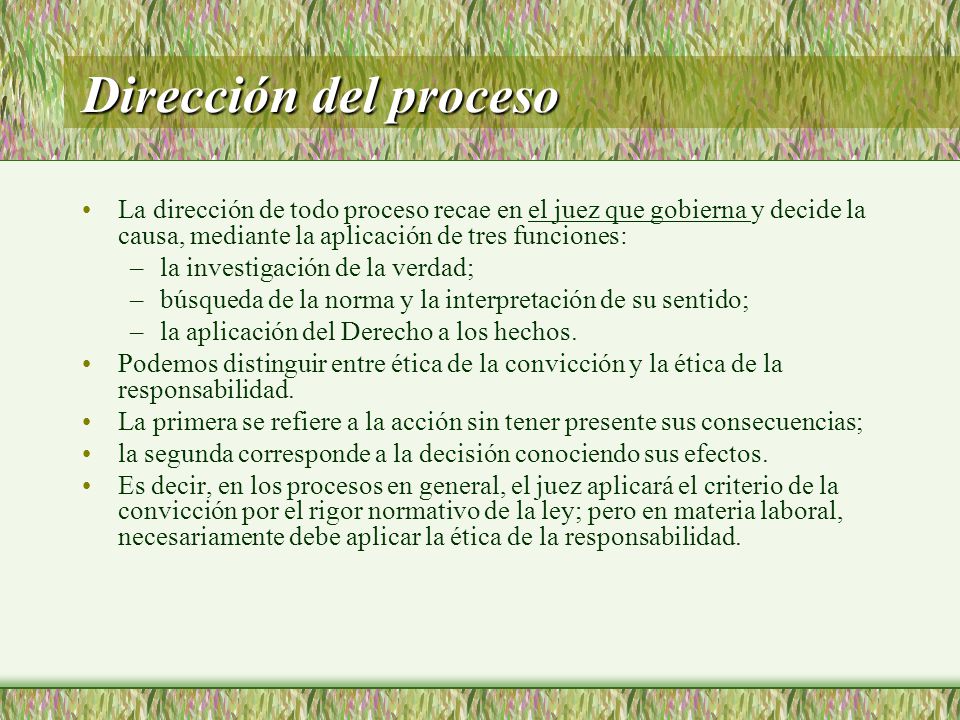 Dirección del proceso La dirección de todo proceso recae en el juez que gobierna y decide la causa, mediante la aplicación de tres funciones: