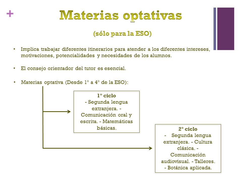 Materias optativas (sólo para la ESO)