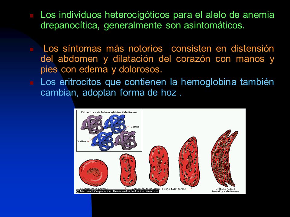 Los individuos heterocigóticos para el alelo de anemia drepanocítica, generalmente son asintomáticos.