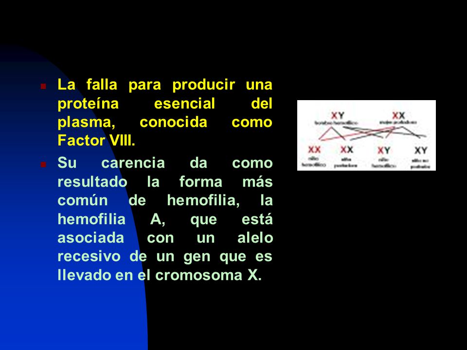 La falla para producir una proteína esencial del plasma, conocida como Factor VIII.