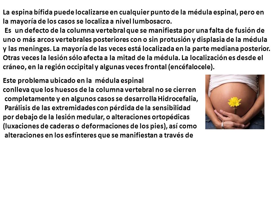 La espina bífida puede localizarse en cualquier punto de la médula espinal, pero en la mayoría de los casos se localiza a nivel lumbosacro.