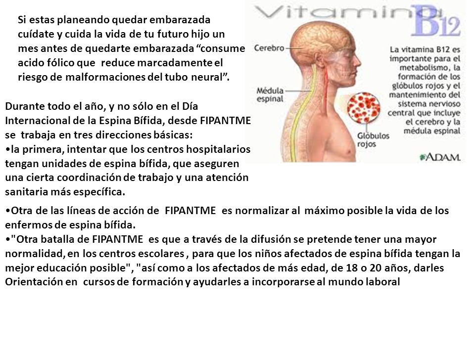 Si estas planeando quedar embarazada cuídate y cuida la vida de tu futuro hijo un mes antes de quedarte embarazada consume acido fólico que reduce marcadamente el riesgo de malformaciones del tubo neural .