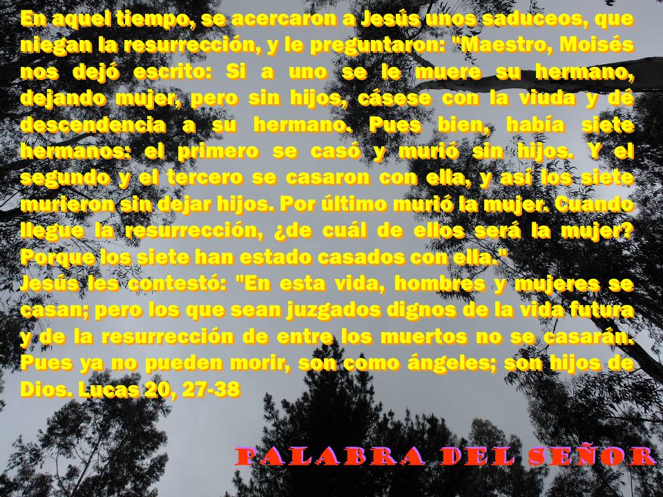En aquel tiempo, se acercaron a Jesús unos saduceos, que niegan la resurrección, y le preguntaron: Maestro, Moisés nos dejó escrito: Si a uno se le muere su hermano, dejando mujer, pero sin hijos, cásese con la viuda y dé descendencia a su hermano. Pues bien, había siete hermanos: el primero se casó y murió sin hijos. Y el segundo y el tercero se casaron con ella, y así los siete murieron sin dejar hijos. Por último murió la mujer. Cuando llegue la resurrección, ¿de cuál de ellos será la mujer Porque los siete han estado casados con ella.